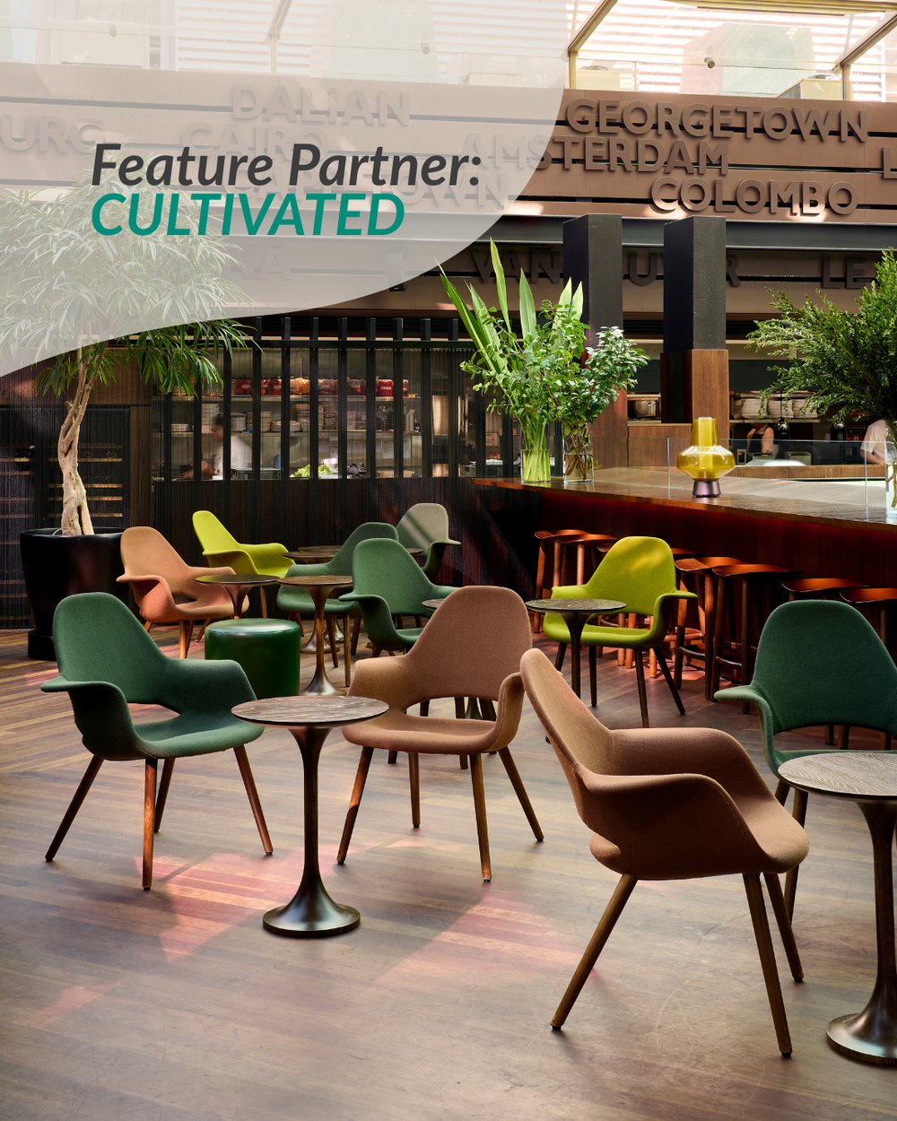 Cultivated: Making Furniture’s Second Life the First Choice